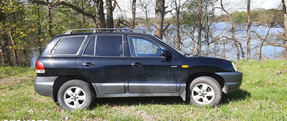 Hyundai Santa Fe cena 11600 przebieg: 216782, rok produkcji 2005 z Lębork małe 67